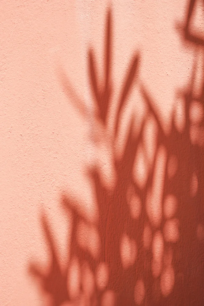 Schenk, Henrike: Ombre
