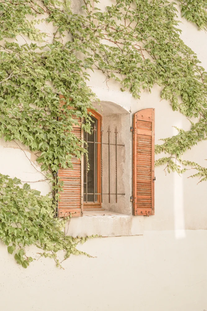 Schenk, Henrike: French Shutters