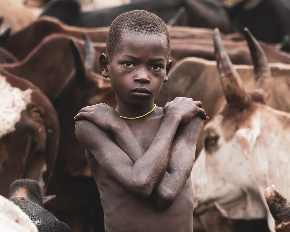 Bohn, E Tori: Cold Morning with the Cattle