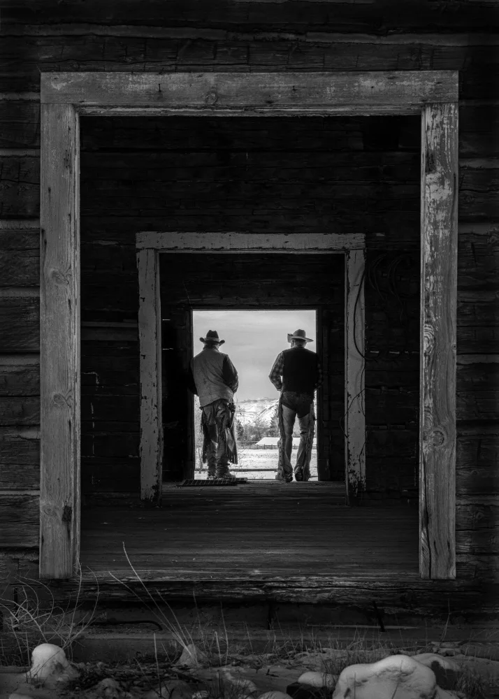 Zhang, Dennis: Cowboys III