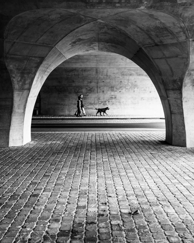 Steenhoudt, Sofie: Dejando salir al perro