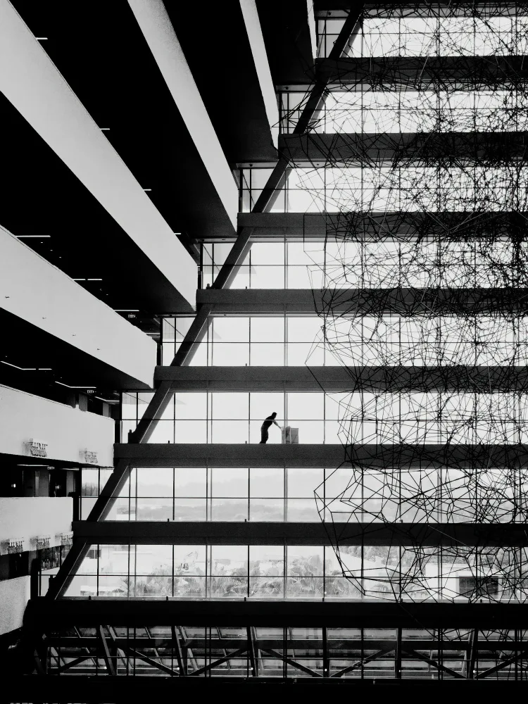 FF, Chia David: Collegare