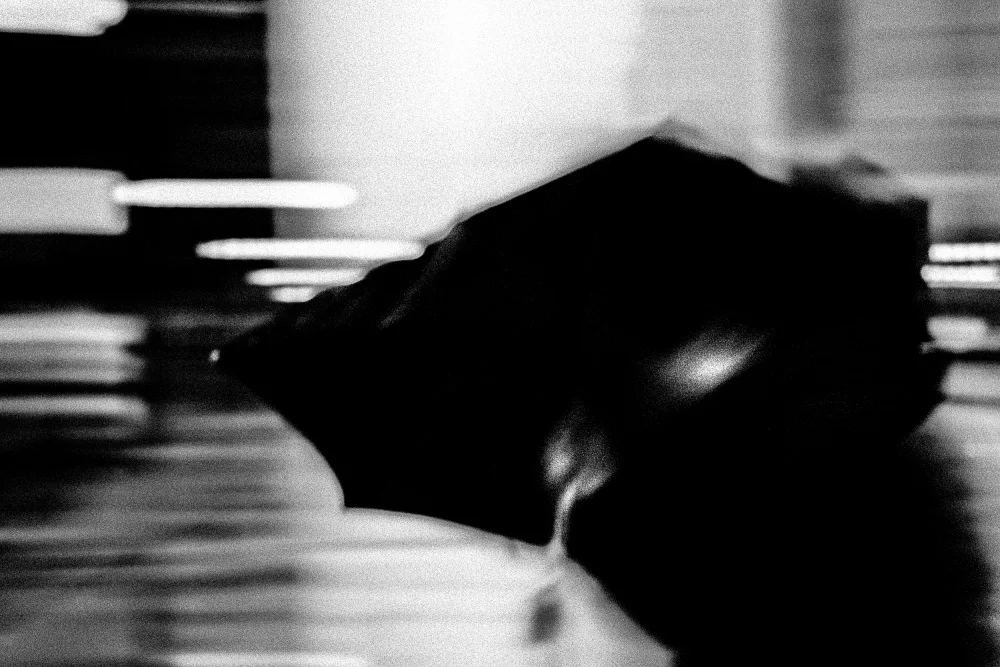 Wixson, Andrew: under cover blue