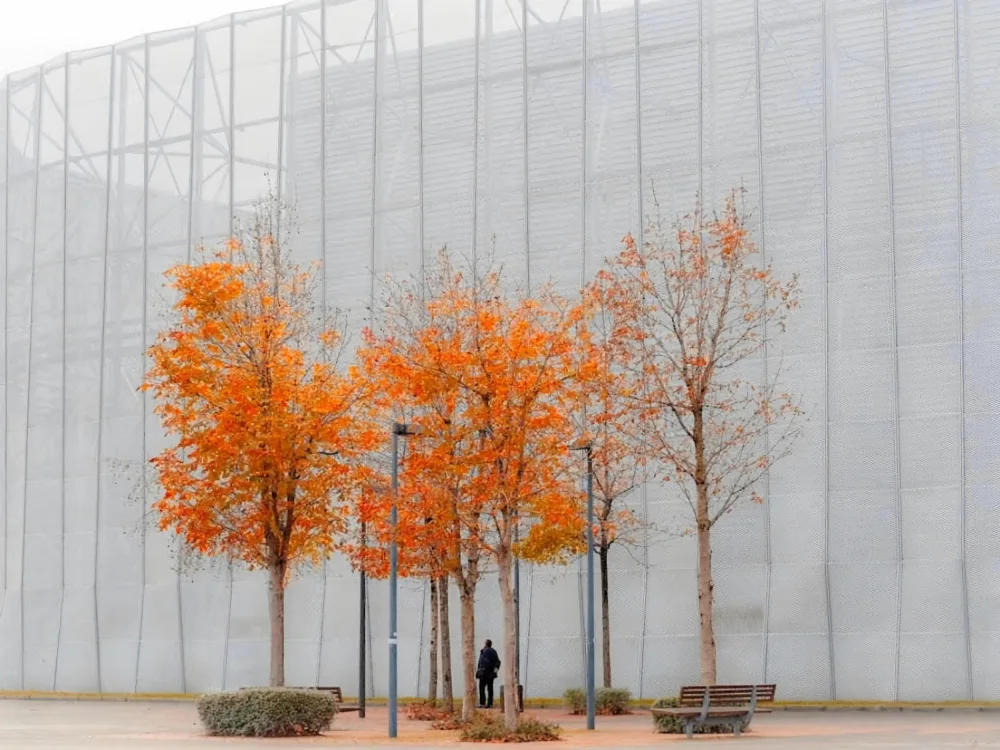 Navea, Alberto: NAÚFRAGO