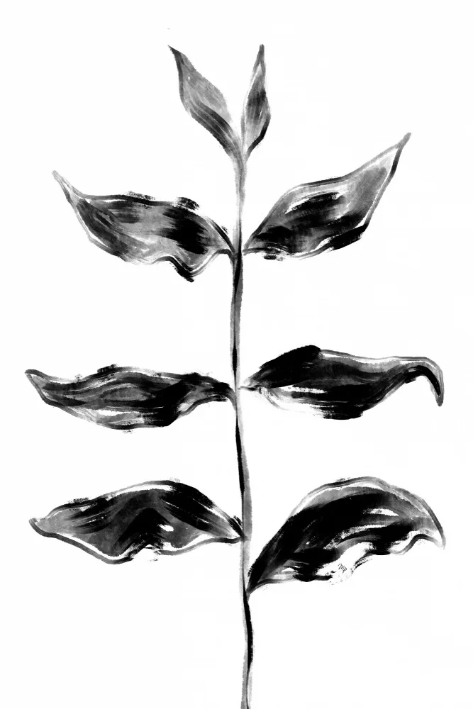 Martina: Black Plant