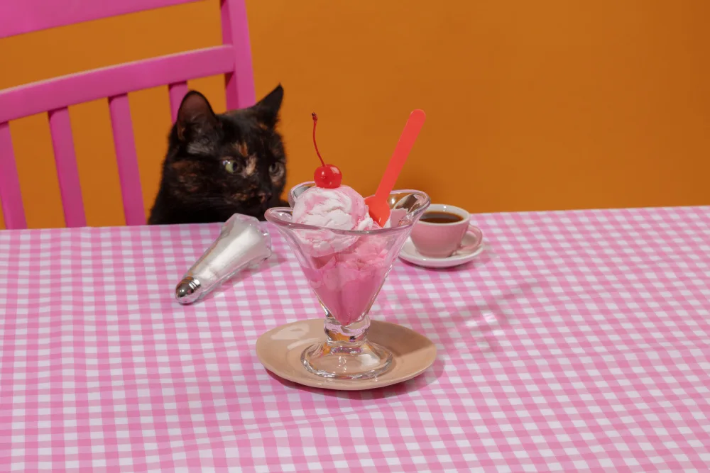 Ramiro, Julia: Gato Curioso con Postre