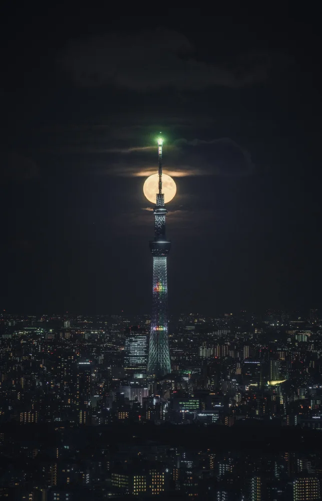 ZHANG, JOSEPH: Moon City