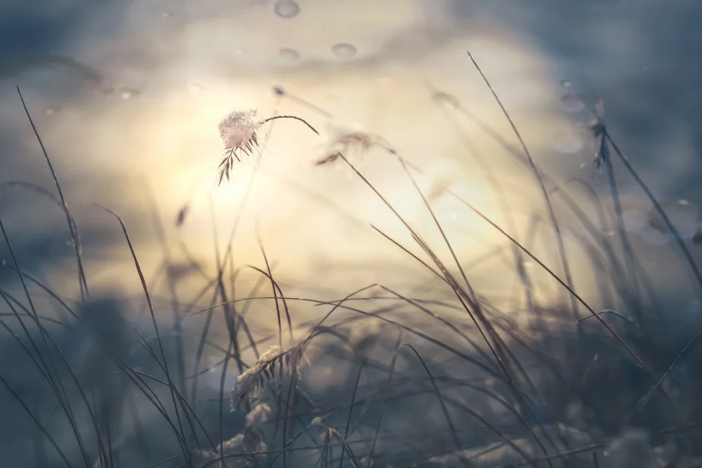 Huybrighs, Marc: Winter