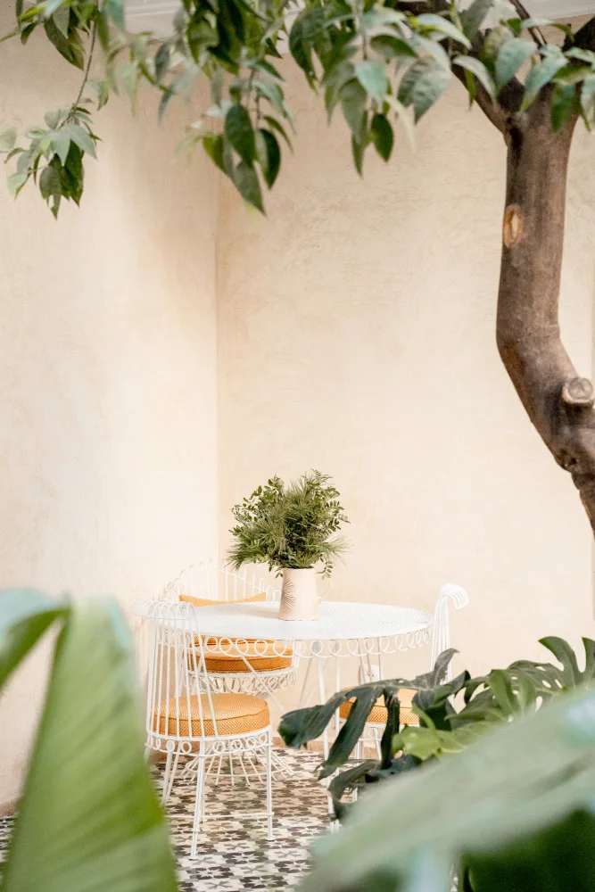 Schenk, Henrike: Riad Romance