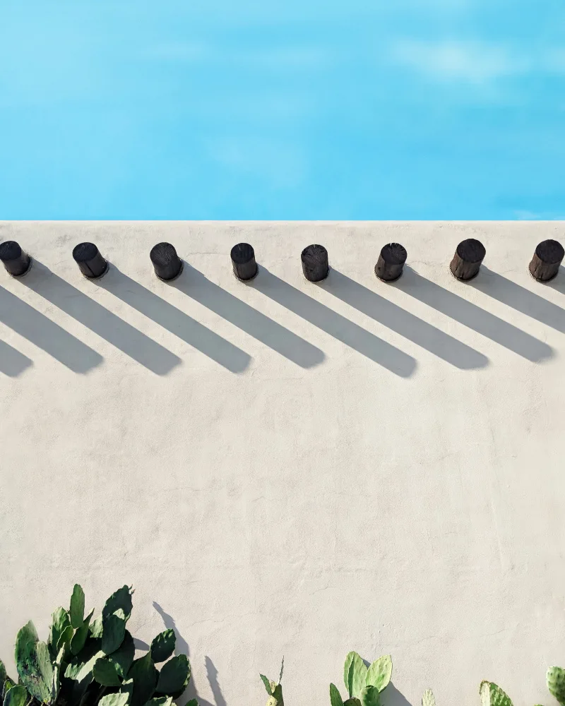 Windeknecht, Tom: Longues ombres