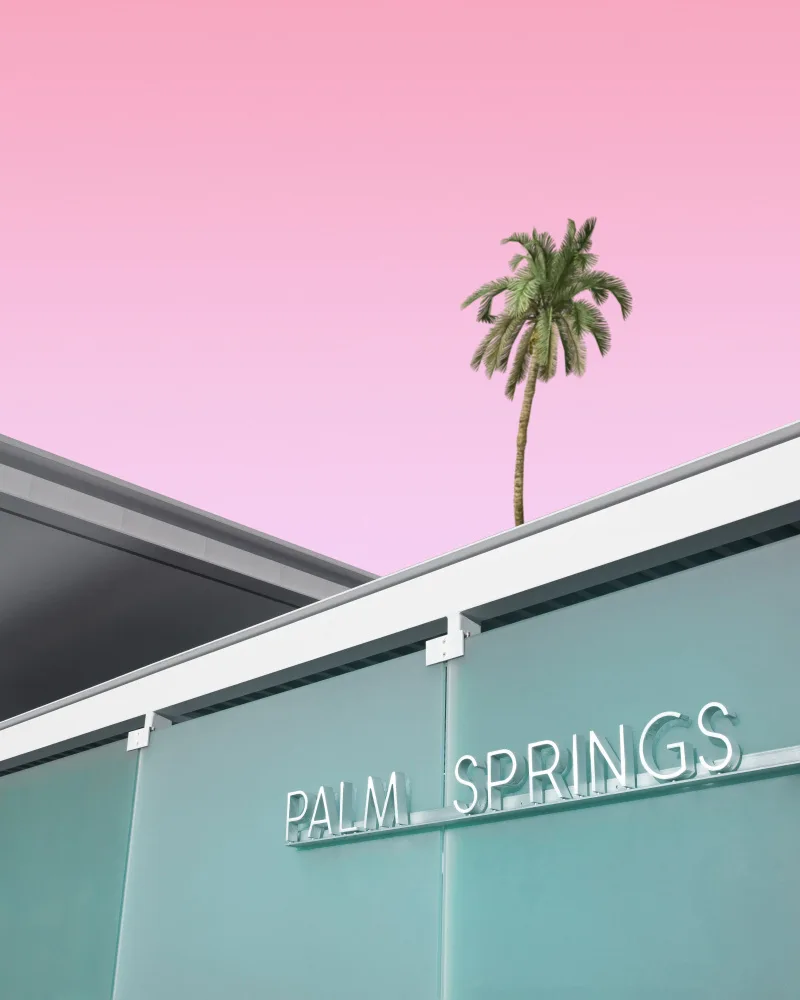 Windeknecht, Tom: Vítejte v destinaci Palm Springs