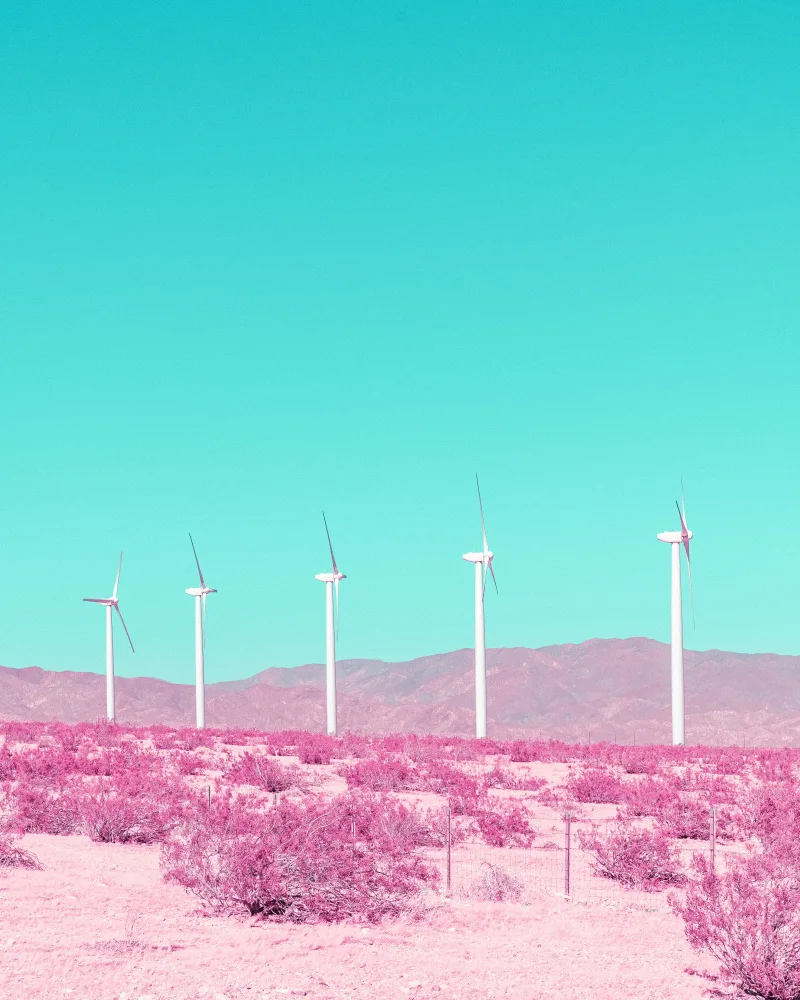 Windeknecht, Tom: Palm Springs Windmills in the Desert