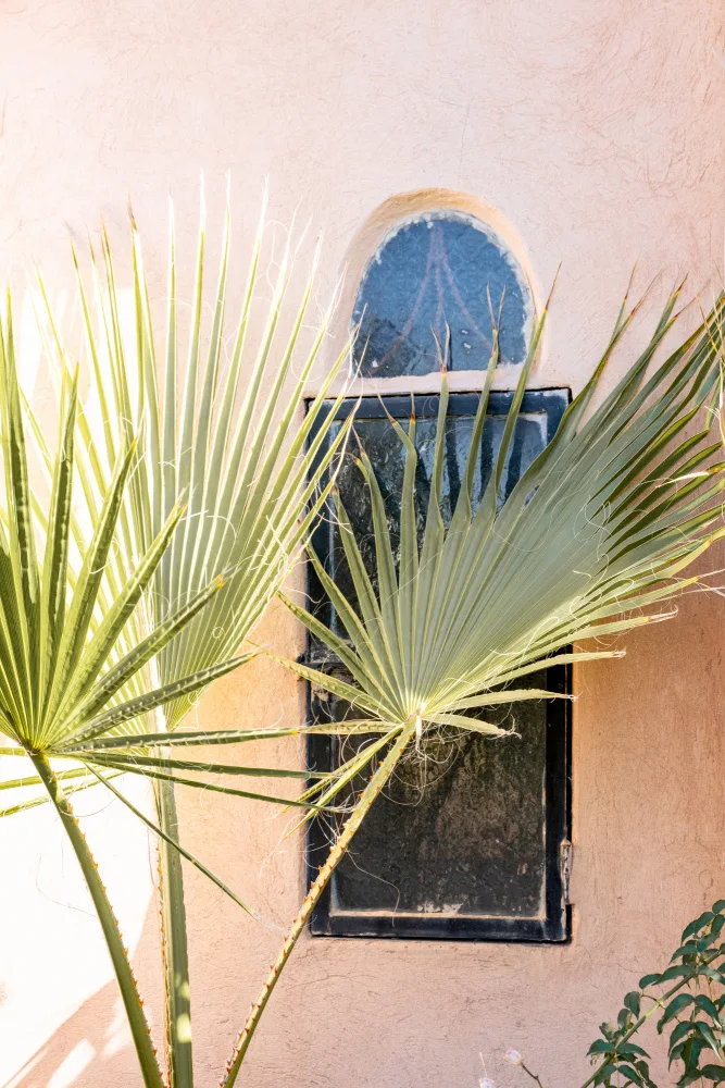 Schenk, Henrike: Moroccan Summer