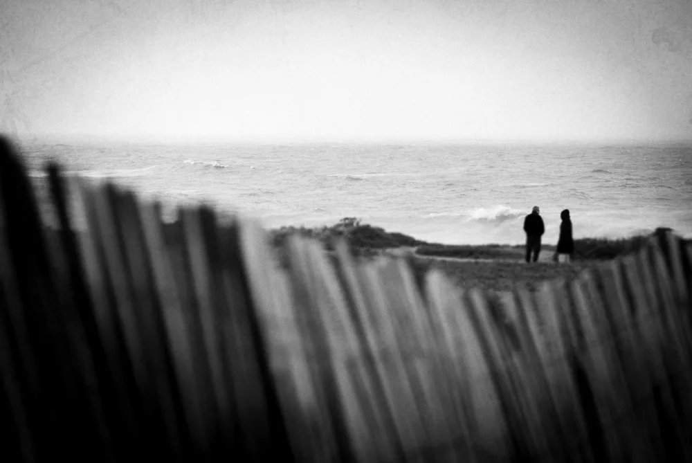 Seita, Milena: Littoral