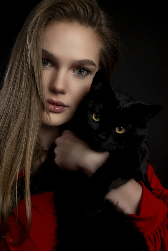 Pop, D. Ovi: Chat noir,chemise rouge