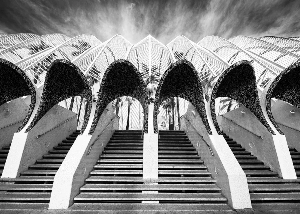 Sanders, Andy: L'Umbracle