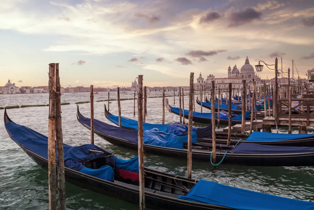 Viola, Melanie: VENICE Gondolas & Santa Maria della Salute