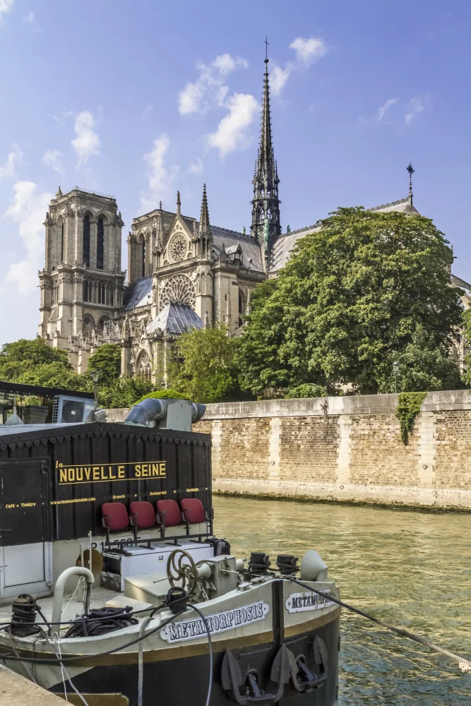 Viola, Melanie: PAŘÍŽSKÁ katedrála Notre-Dame