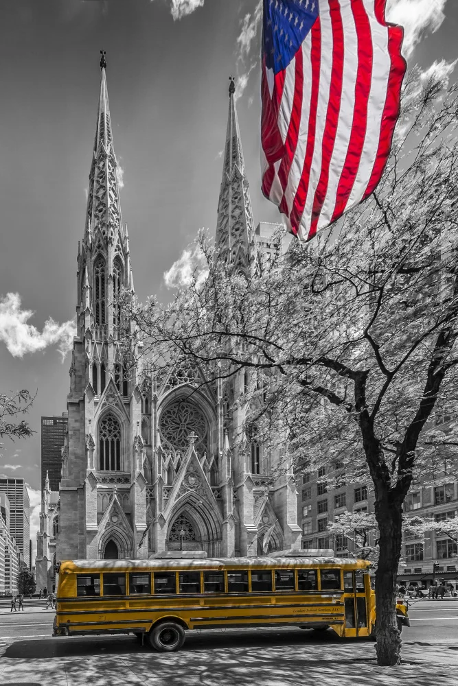 Viola, Melanie: NEW YORK CITY St. Patrick's Cathedral