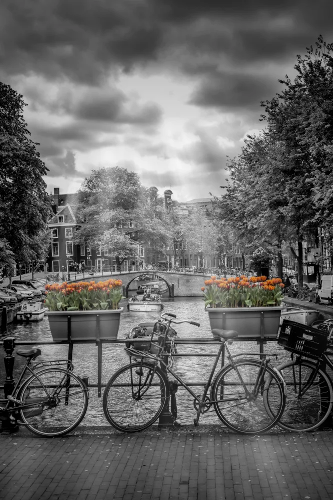Viola, Melanie: Paesaggio urbano di Amsterdam