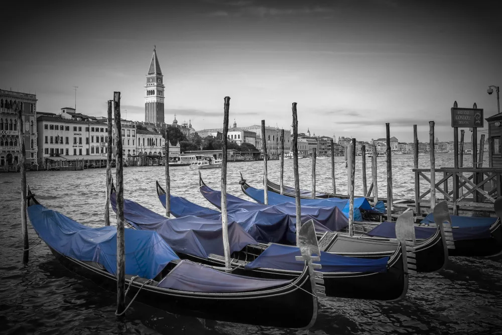 Viola, Melanie: VENEZIA Canal Grande e Campanile di San Marco