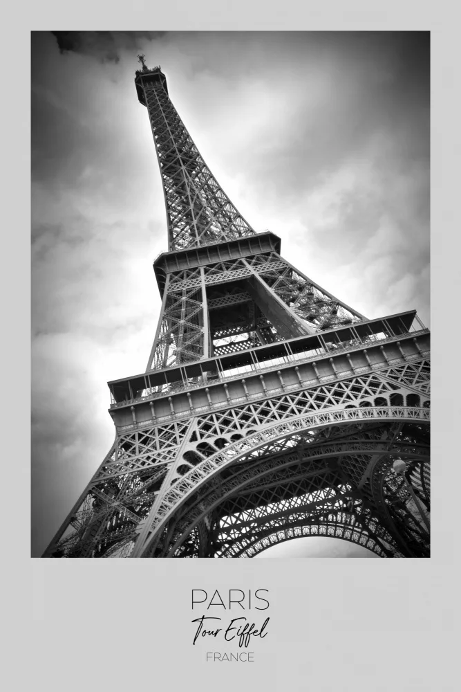 Viola, Melanie: In focus: PARIS Eiffel Tower