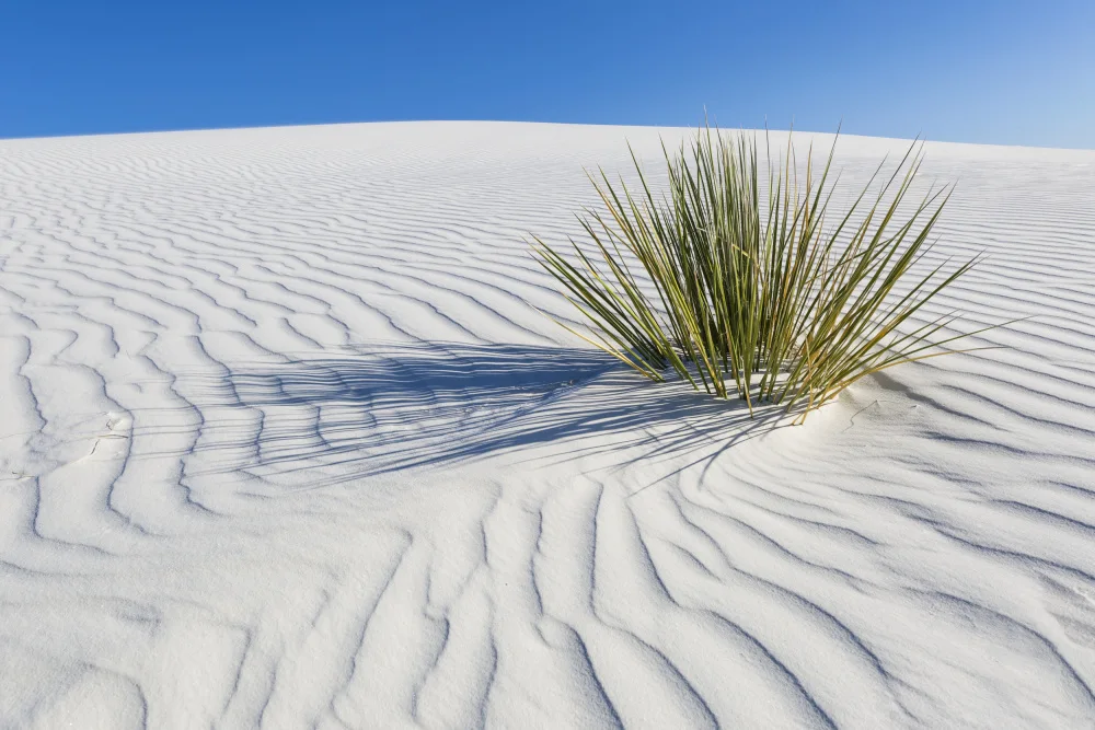 Viola, Melanie: WHITE SANDS Idyllic scenery