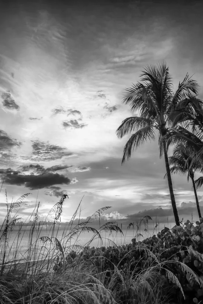 Viola, Melanie: BONITA BEACH Evening mood | monochrome
