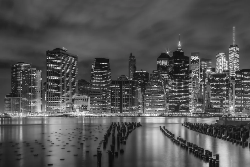 Viola, Melanie: NEW YORK CITY Monochromatické noční dojmy