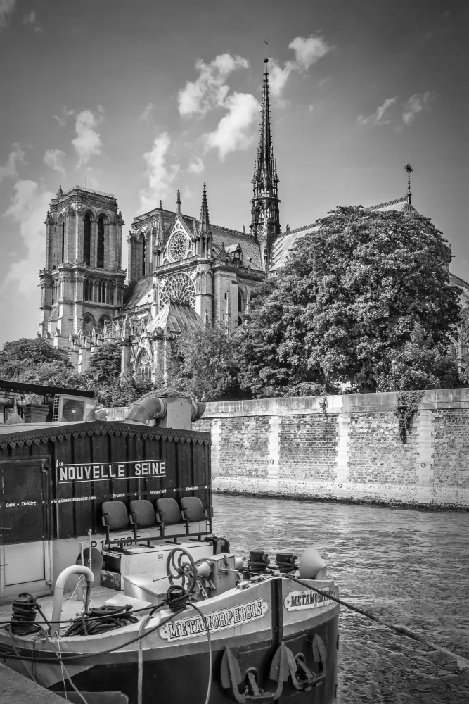 Viola, Melanie: Cathédrale Notre-Dame et rives de la Seine