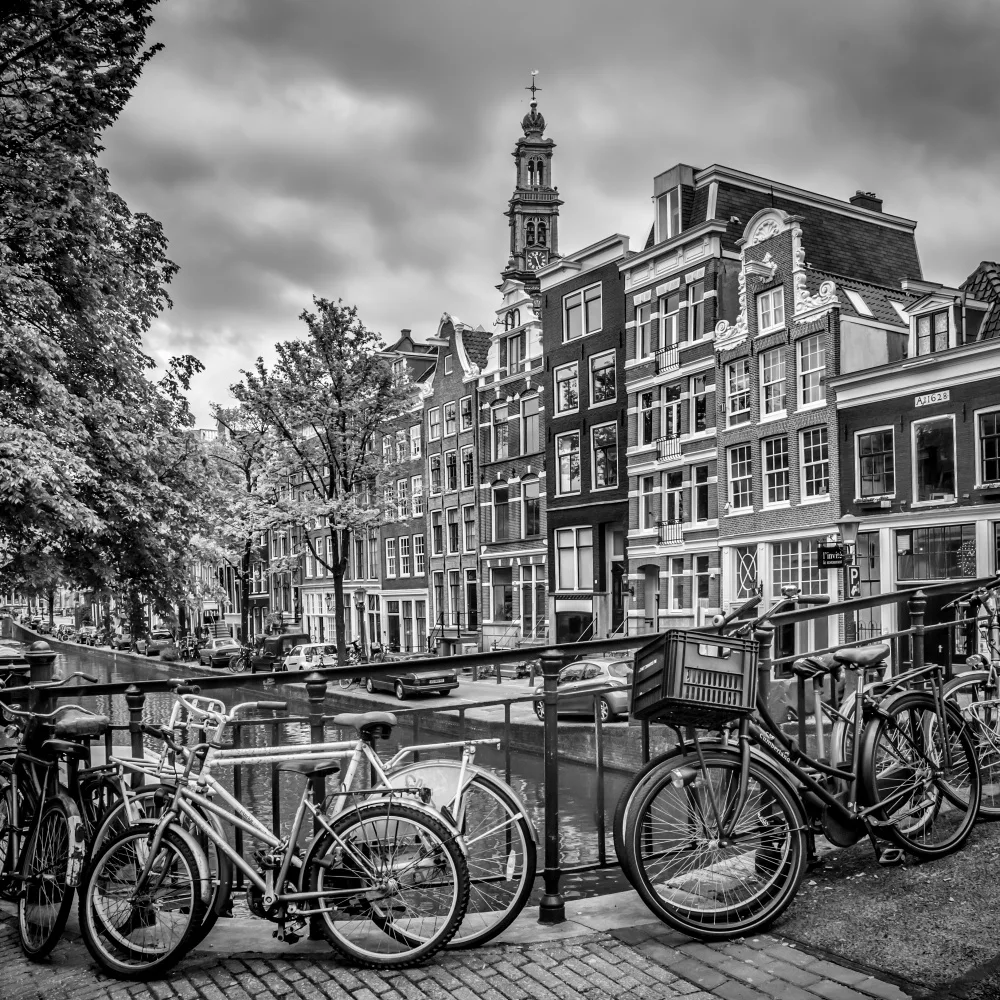Viola, Melanie: AMSTERDAM Flower Canal black & white