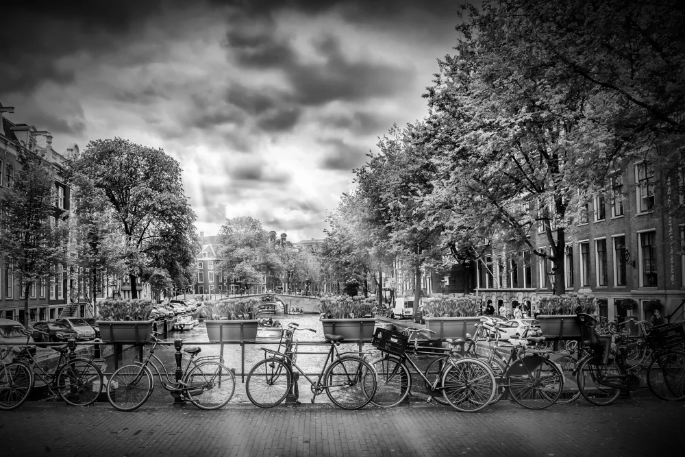 Viola, Melanie: AMSTERDAM Typická panoráma města v monochromatickém režimu