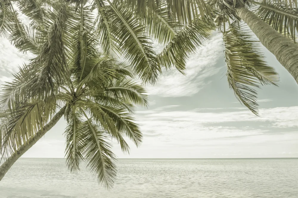 Viola, Melanie: FLORIDA Vintage Ocean View