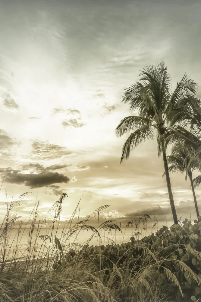 Viola, Melanie: BONITA BEACH Coucher de soleil vintage