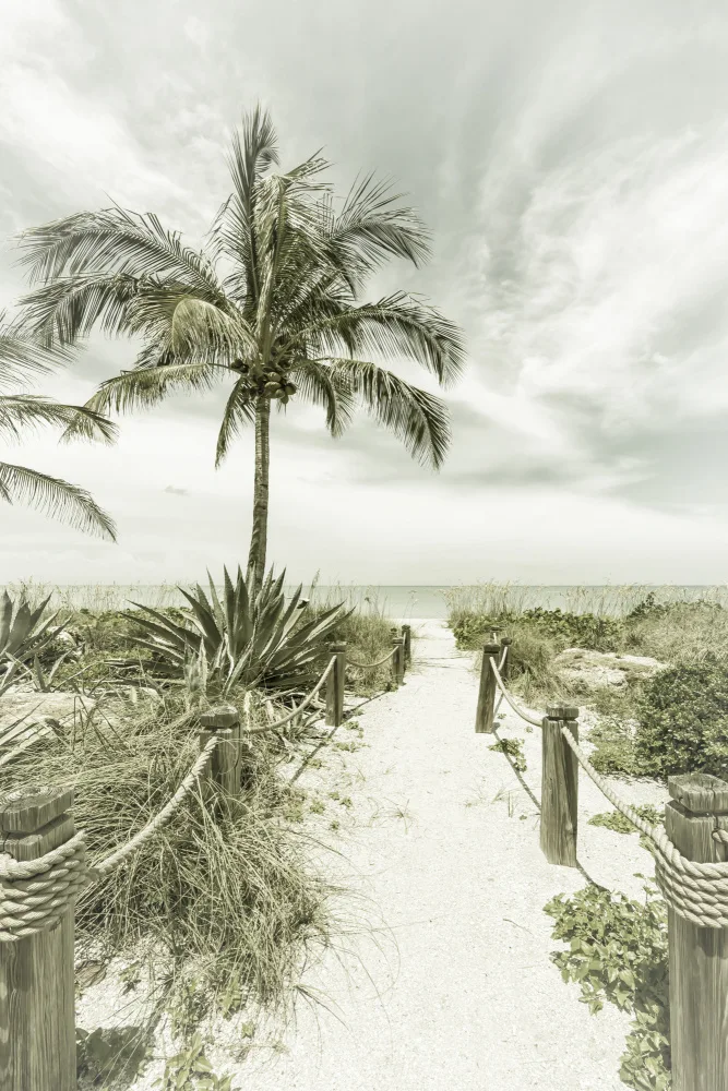 Viola, Melanie: Vintage path to the beach