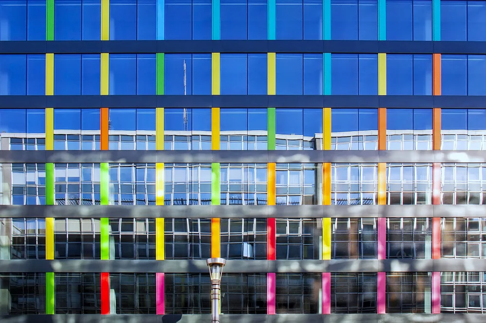 Vicedomini, Angéla: Rainbow Front