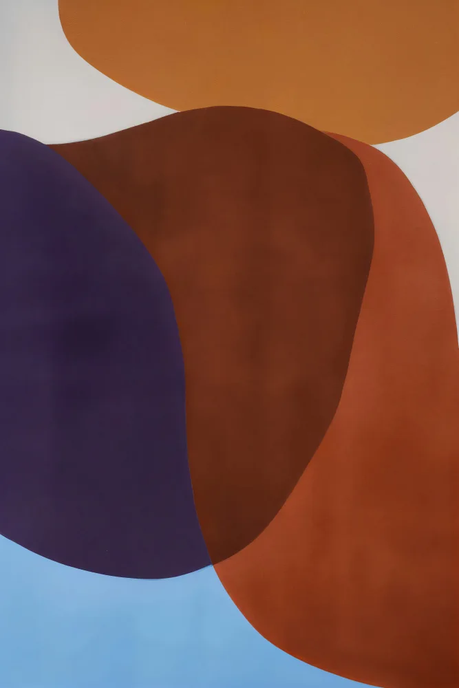 Takken, Merel: Forma Libre 60 X 90