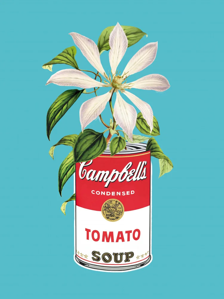 Dikhotomy: Campbells et fleurs