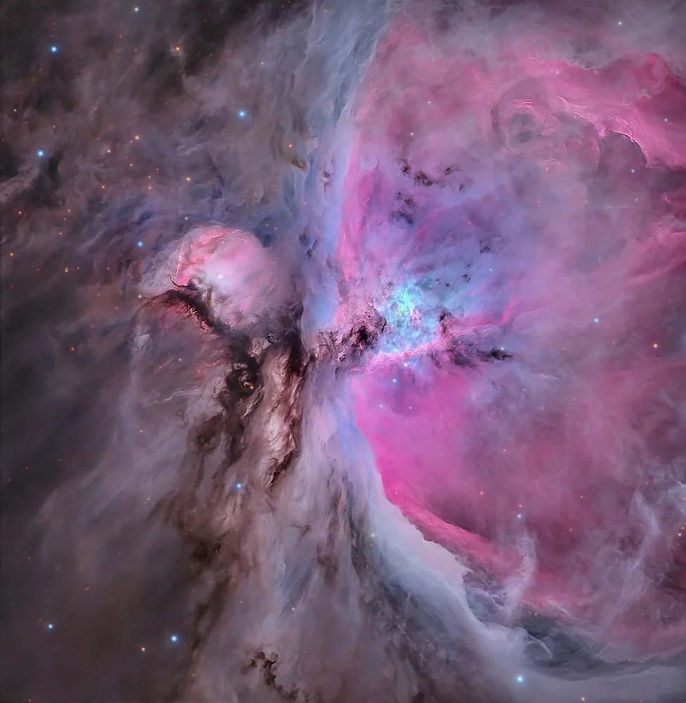 Rodriguez, Maria Rosa: Au coeur d'Orion