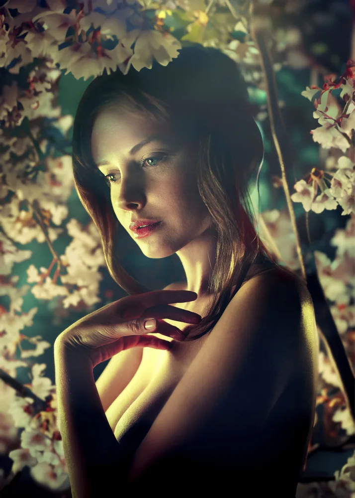 Hayman, Oren: The Night Fairy