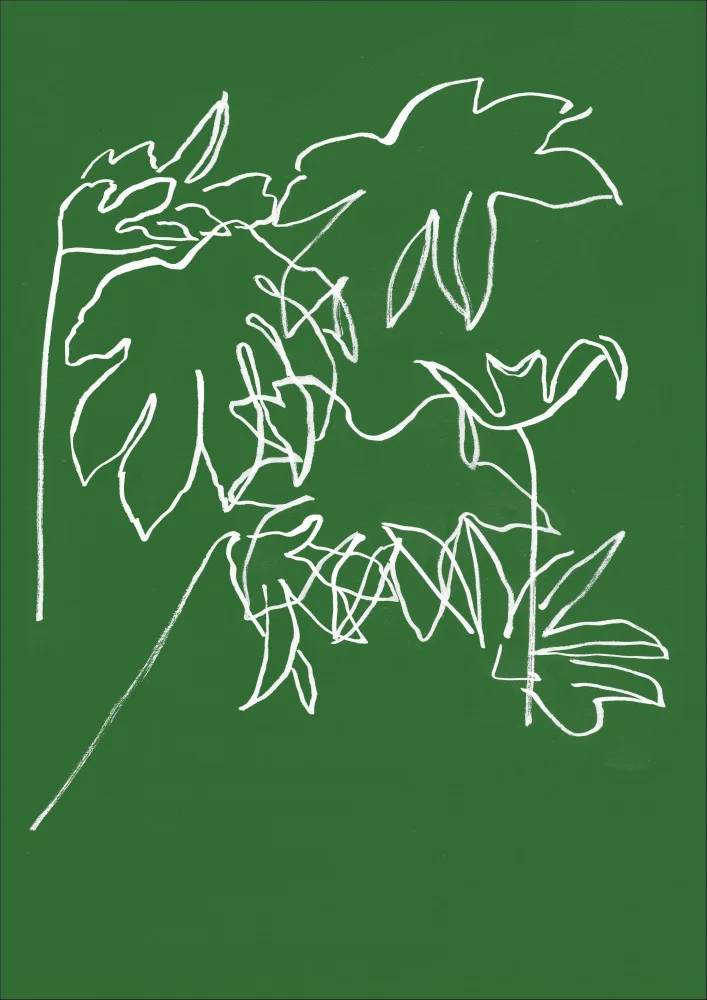 Field, Elaine: Chaotický krásný život