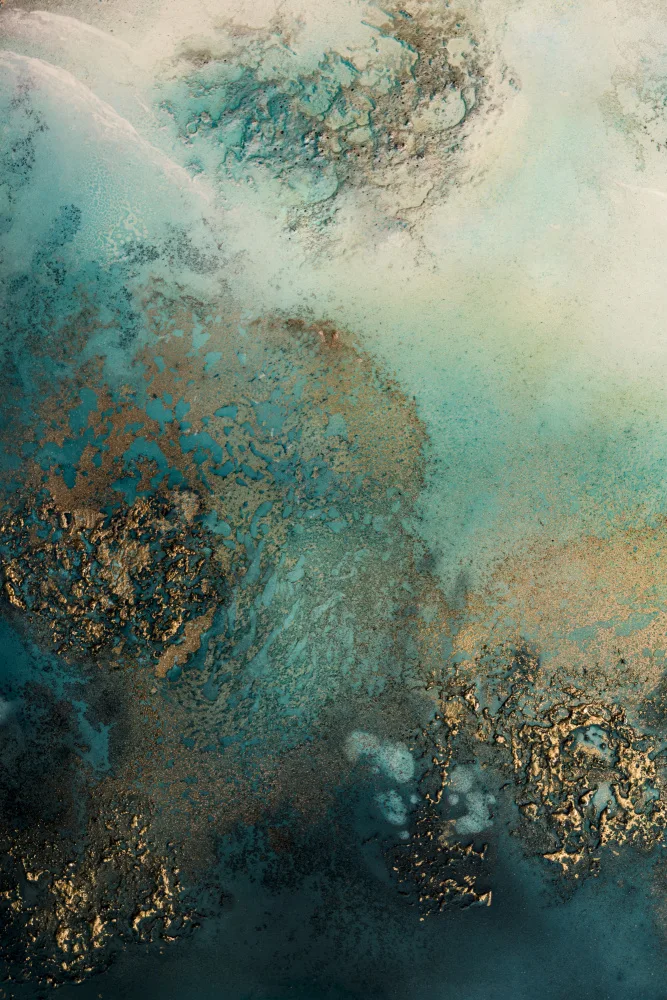de, Meikle Petra: Reef Shimmer
