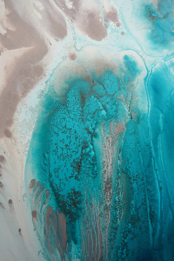 de, Meikle Petra: Coral Sea Flow1