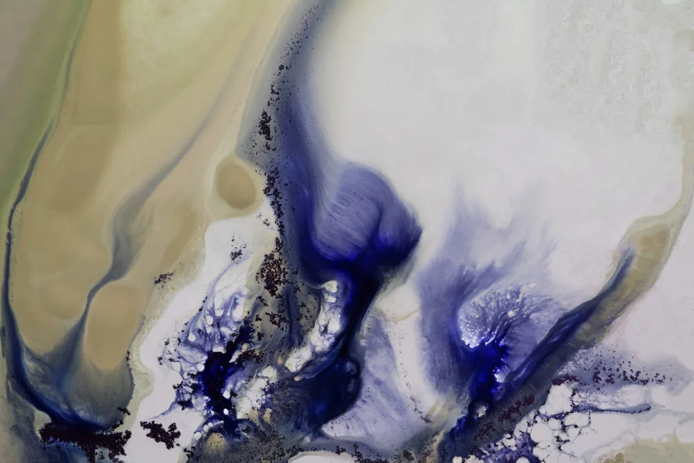 de, Meikle Petra: Whirls of the Waterscape.