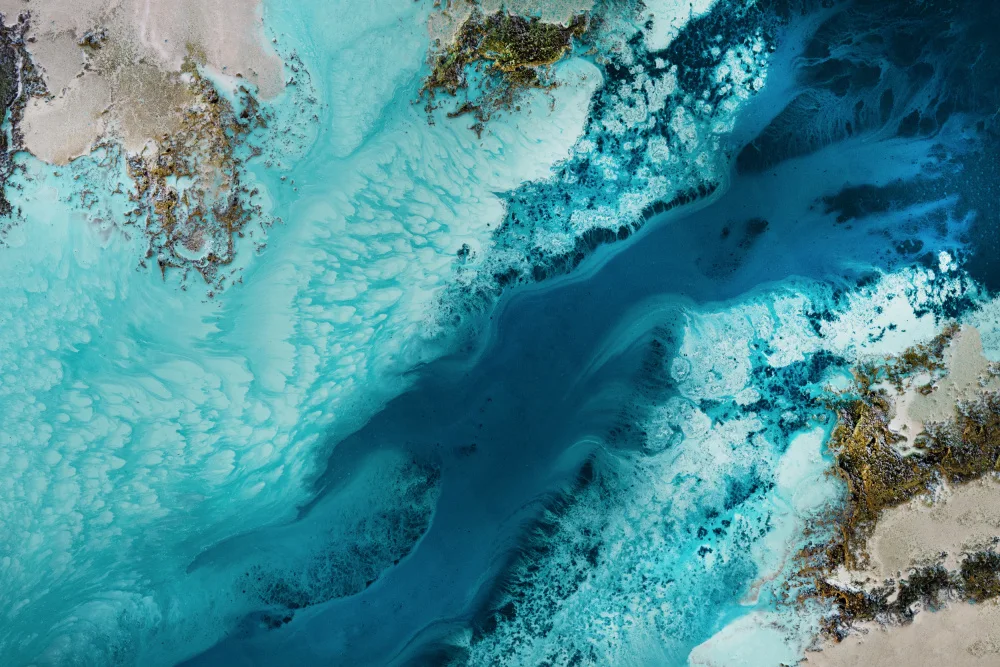 de, Meikle Petra: Passaggio dell'acqua salata Gggg