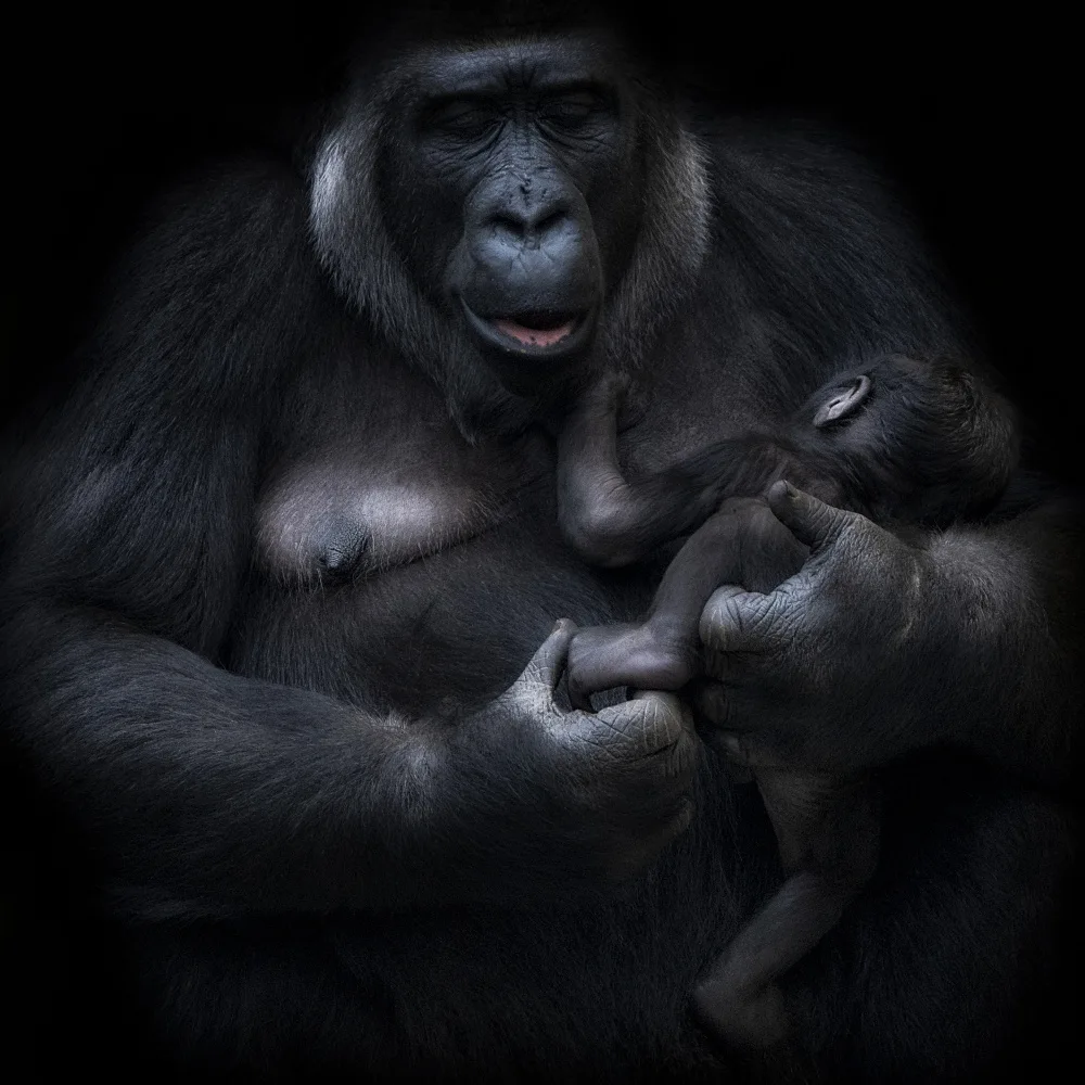 Ruiz, Saavedra Sergio: Proud Mother II
