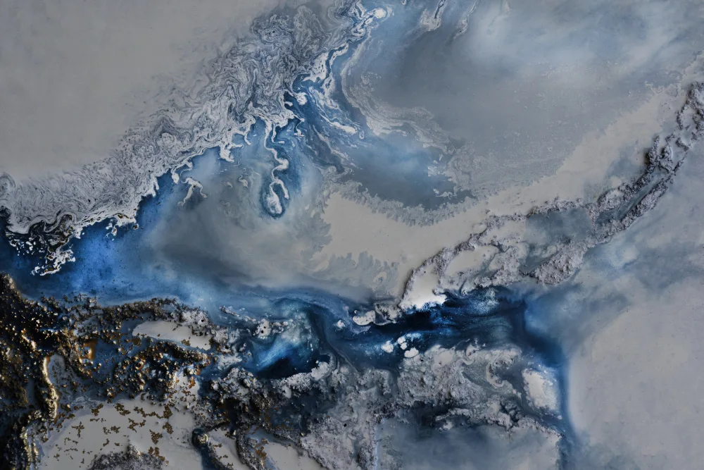 de, Meikle Petra: Arctic Waters