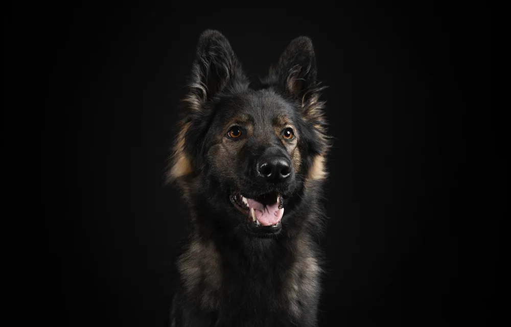 Braet, Elke: Black on Black