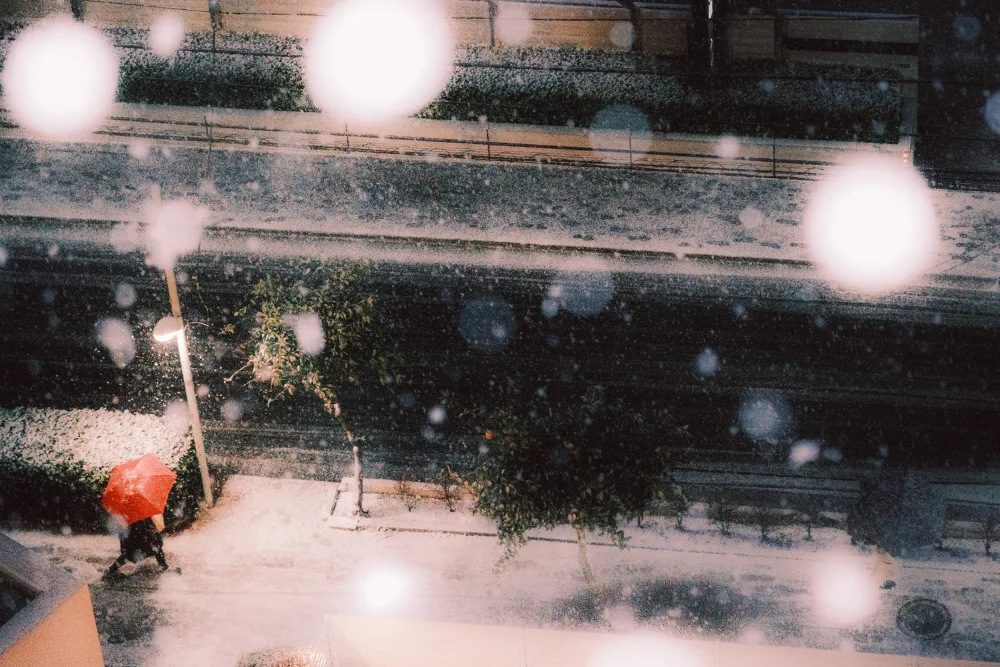 HIDASAN: Schneefall Tokio