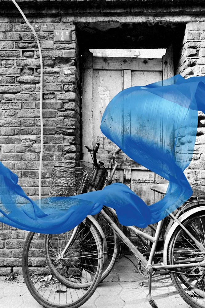 Skellern, Sue: Blue Ribbon & Bike